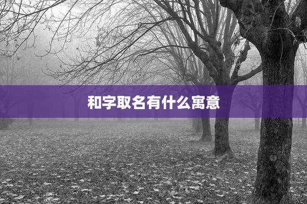 和字取名有什么寓意