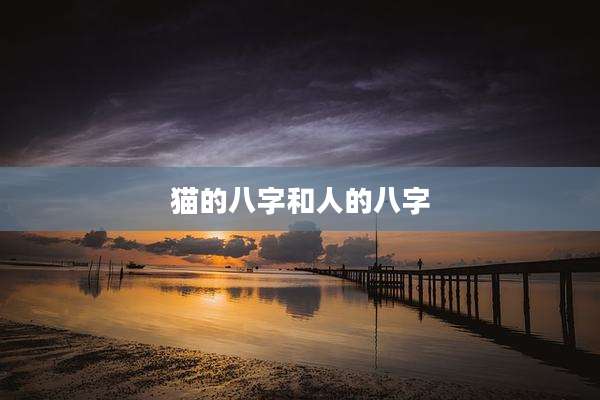 猫的八字和人的八字