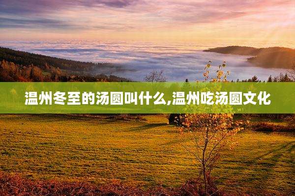温州冬至的汤圆叫什么,温州吃汤圆文化