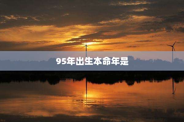 95年出生本命年是