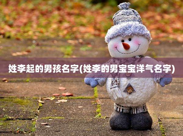 姓李起的男孩名字(姓李的男宝宝洋气名字)