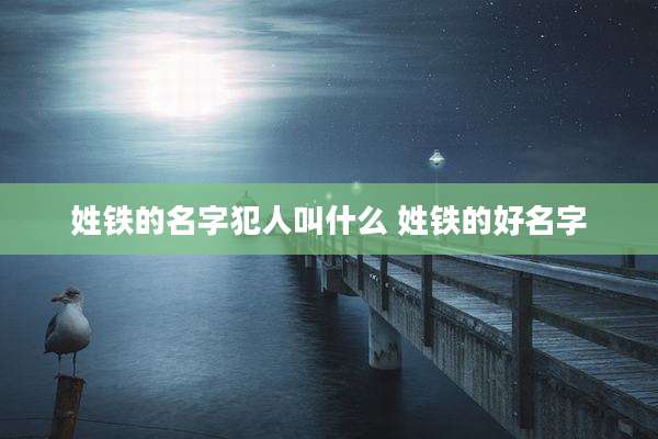姓铁的名字犯人叫什么 姓铁的好名字