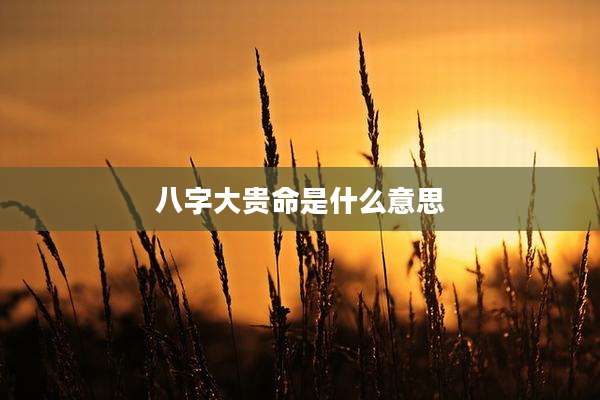 八字大贵命是什么意思
