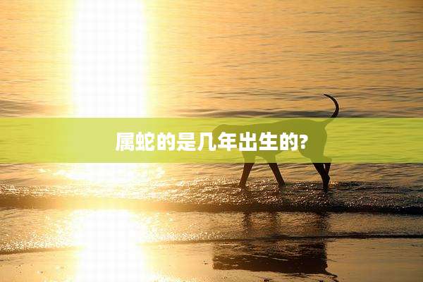 属蛇的是几年出生的?