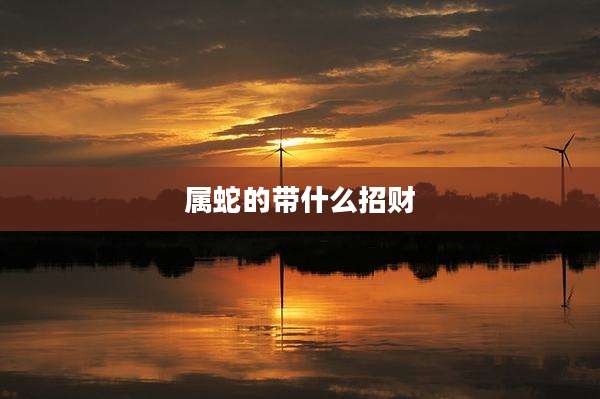 属蛇的带什么招财