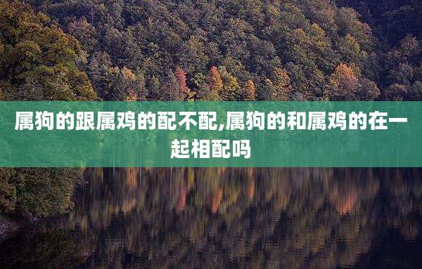 属狗的跟属鸡的配不配,属狗的和属鸡的在一起相配吗