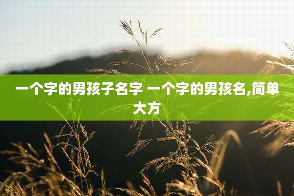 一个字的男孩子名字 一个字的男孩名,简单大方
