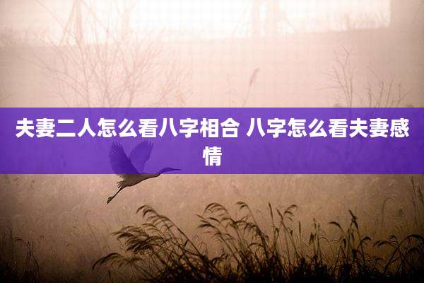 夫妻二人怎么看八字相合 八字怎么看夫妻感情