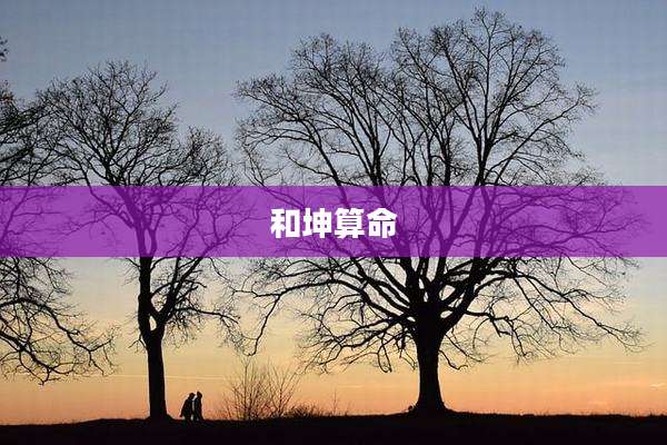 和坤算命