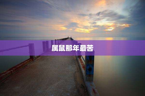 属鼠那年最苦