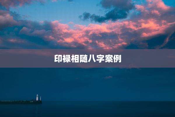 印禄相随八字案例