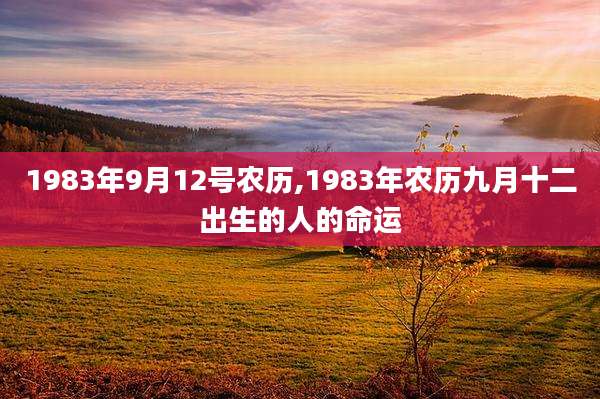 1983年9月12号农历,1983年农历九月十二出生的人的命运