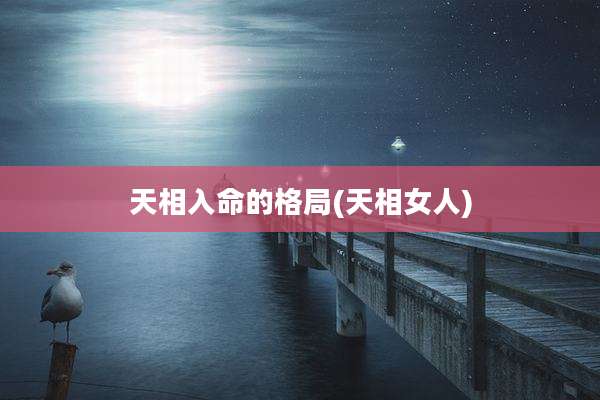 天相入命的格局(天相女人)