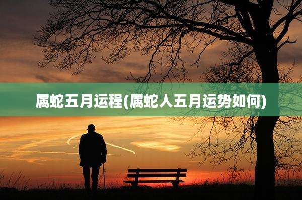 属蛇五月运程(属蛇人五月运势如何)