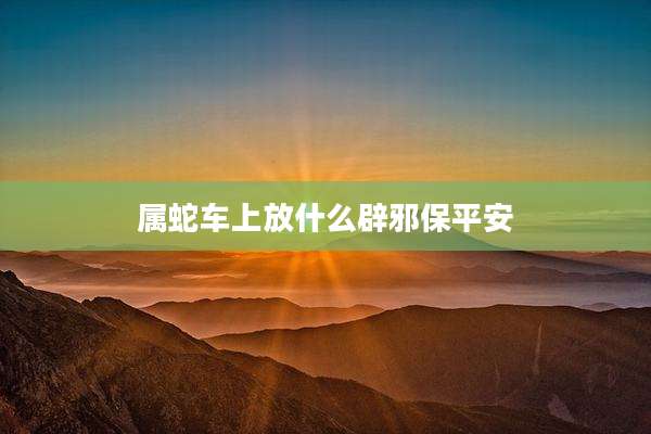 属蛇车上放什么辟邪保平安