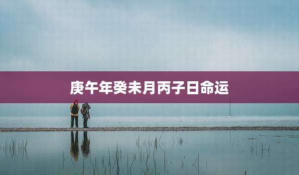 庚午年癸未月丙子日命运