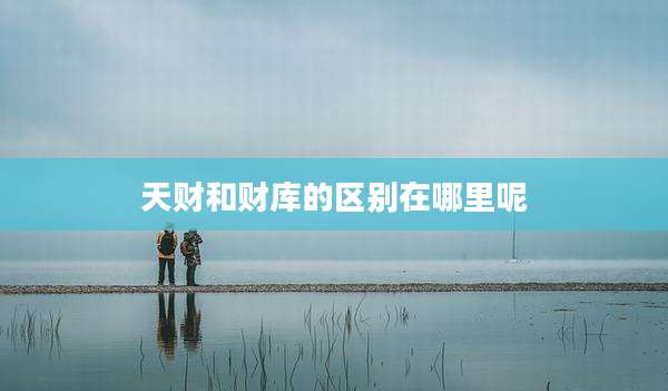 天财和财库的区别在哪里呢