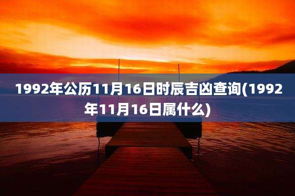 1992年公历11月16日时辰吉凶查询(1992年11月16日属什么)