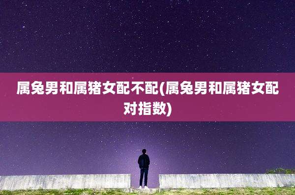 属兔男和属猪女配不配(属兔男和属猪女配对指数)