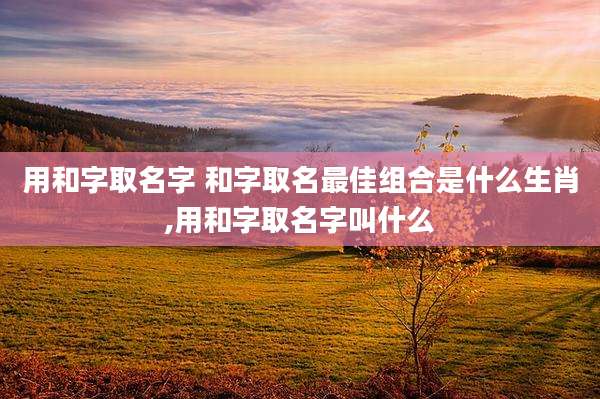 用和字取名字 和字取名最佳组合是什么生肖,用和字取名字叫什么