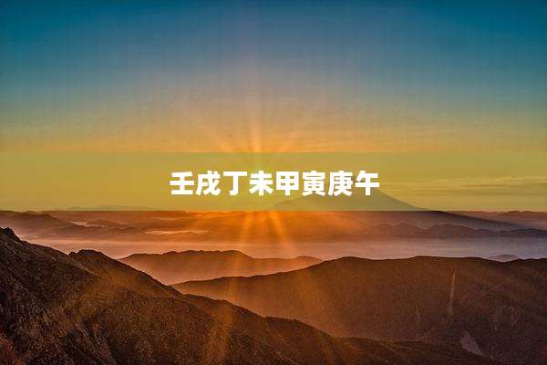 壬戌丁未甲寅庚午