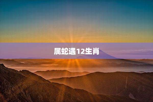 属蛇遇12生肖
