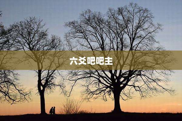 六爻吧吧主