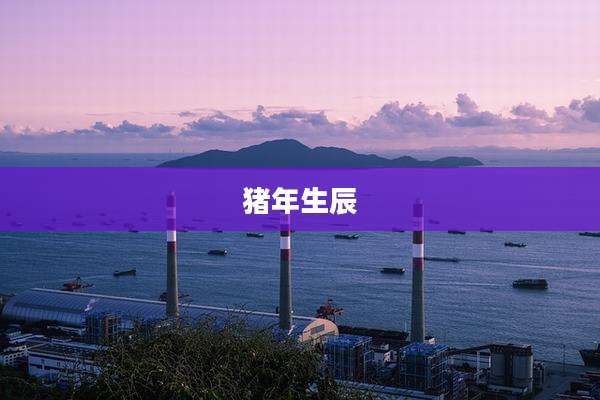 猪年生辰