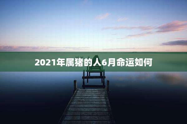 2021年属猪的人6月命运如何
