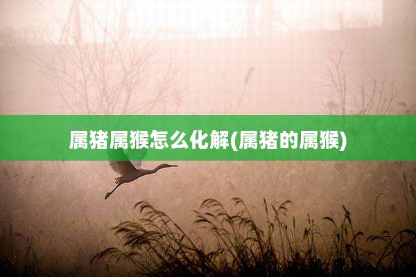 属猪属猴怎么化解(属猪的属猴)