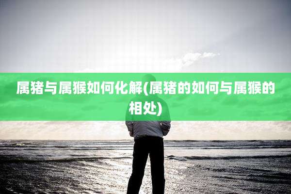 属猪与属猴如何化解(属猪的如何与属猴的相处)