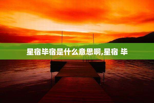 星宿毕宿是什么意思啊,星宿 毕