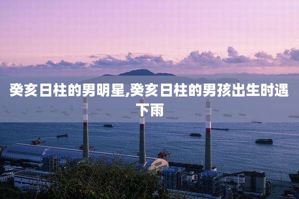 癸亥日柱的男明星,癸亥日柱的男孩出生时遇下雨