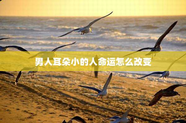 男人耳朵小的人命运怎么改变