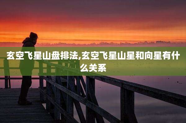 玄空飞星山盘排法,玄空飞星山星和向星有什么关系