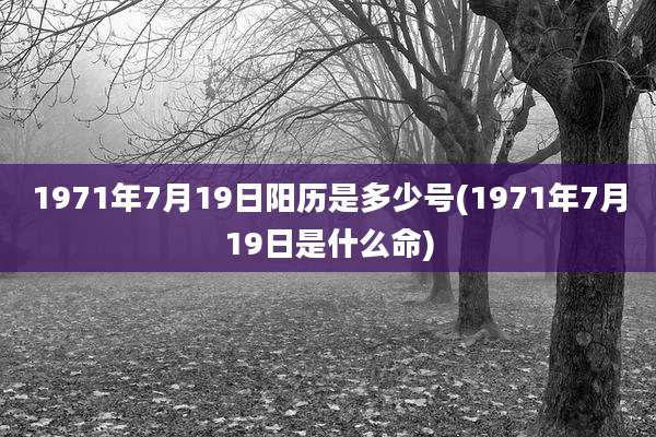 1971年7月19日阳历是多少号(1971年7月19日是什么命)