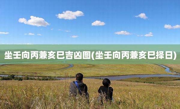 坐壬向丙兼亥巳吉凶图(坐壬向丙兼亥巳择日)