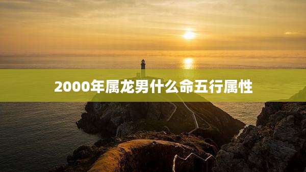 2000年属龙男什么命五行属性