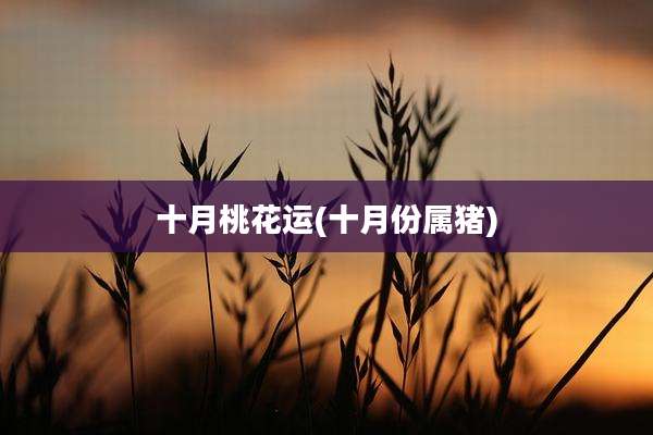 十月桃花运(十月份属猪)