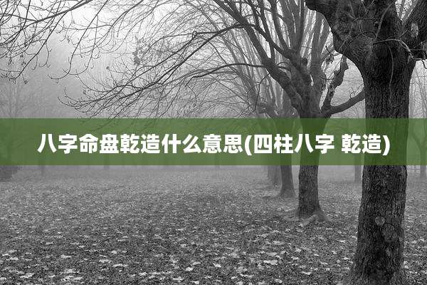 八字命盘乾造什么意思(四柱八字 乾造)