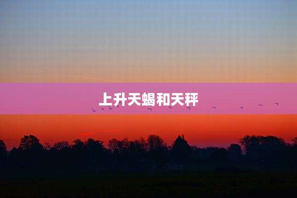 上升天蝎和天秤
