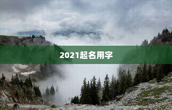 2021起名用字