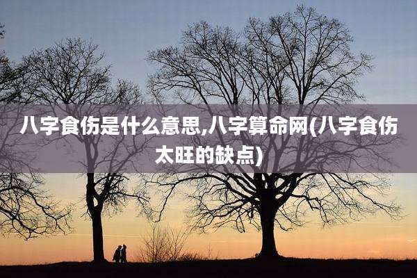 八字食伤是什么意思,八字算命网(八字食伤太旺的缺点)