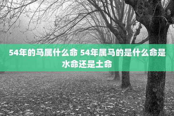 54年的马属什么命 54年属马的是什么命是水命还是土命