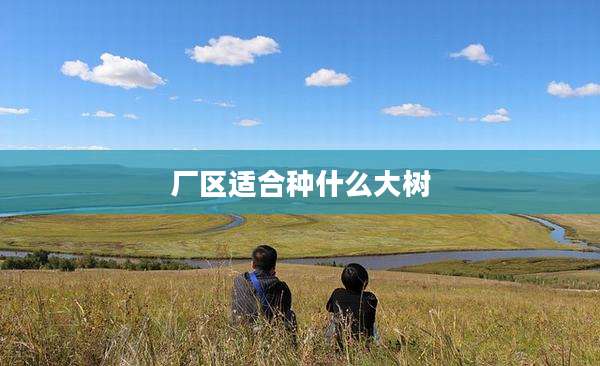 厂区适合种什么大树
