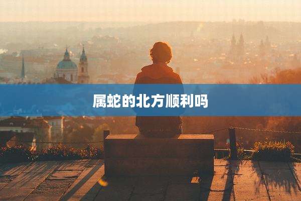 属蛇的北方顺利吗