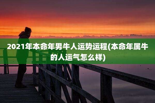 2021年本命年男牛人运势运程(本命年属牛的人运气怎么样)