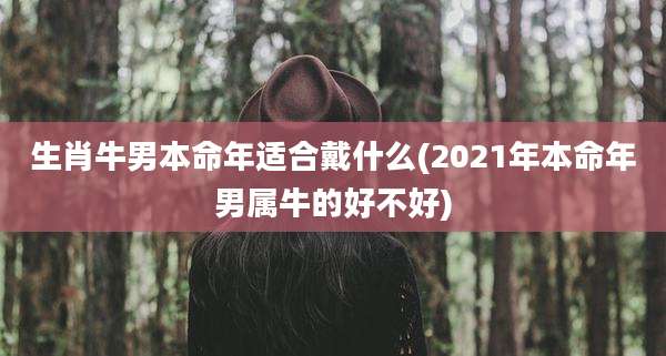 生肖牛男本命年适合戴什么(2021年本命年男属牛的好不好)