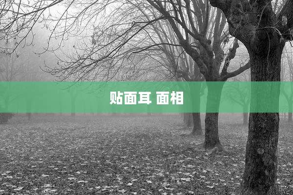 贴面耳 面相