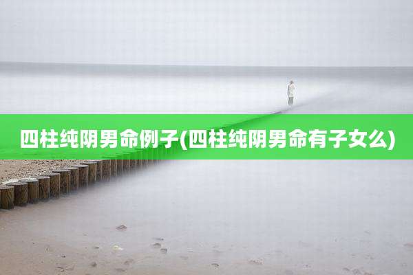 四柱纯阴男命例子(四柱纯阴男命有子女么)